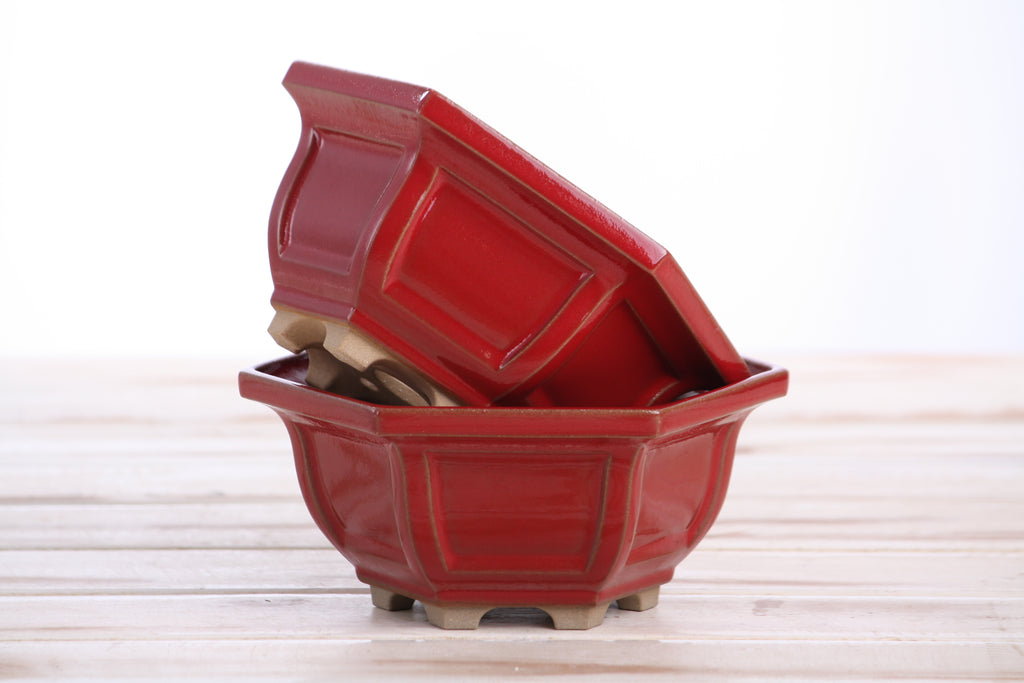 Willow Bonsai Ceramics Hexagonal Windowed Bonsai Pot 5 Inch – Semi‑Cascade Planter, High‑Fired Frost‑Proof Stoneware with Drainage & Wiring Holes, Handmade in USA (Red)