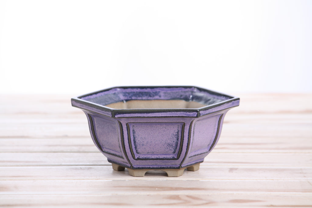 Willow Bonsai Ceramics Hexagonal Windowed Bonsai Pot 5 Inch – Semi‑Cascade Planter, High‑Fired Frost‑Proof Stoneware with Drainage & Wiring Holes, Handmade in USA (Purple)