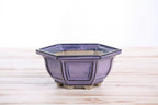 Willow Bonsai Ceramics Hexagonal Windowed Bonsai Pot 5 Inch – Semi‑Cascade Planter, High‑Fired Frost‑Proof Stoneware with Drainage & Wiring Holes, Handmade in USA (Purple)