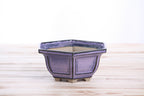 Willow Bonsai Ceramics Hexagonal Windowed Bonsai Pot 5 Inch – Semi‑Cascade Planter, High‑Fired Frost‑Proof Stoneware with Drainage & Wiring Holes, Handmade in USA (Purple)
