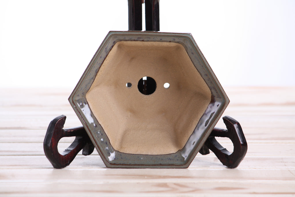 Willow Bonsai Ceramics Hexagonal Windowed Bonsai Pot 5 Inch – Semi‑Cascade Planter, High‑Fired Frost‑Proof Stoneware with Drainage & Wiring Holes, Handmade in USA (Starry Night)