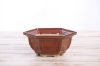 Willow Bonsai Ceramics Hexagonal Windowed Bonsai Pot 5 Inch – Semi‑Cascade Planter, High‑Fired Frost‑Proof Stoneware with Drainage & Wiring Holes, Handmade in USA (Sunset)
