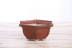 Willow Bonsai Ceramics Hexagonal Windowed Bonsai Pot 5 Inch – Semi‑Cascade Planter, High‑Fired Frost‑Proof Stoneware with Drainage & Wiring Holes, Handmade in USA (Sunset)