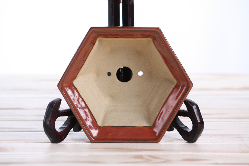 Willow Bonsai Ceramics Hexagonal Windowed Bonsai Pot 5 Inch – Semi‑Cascade Planter, High‑Fired Frost‑Proof Stoneware with Drainage & Wiring Holes, Handmade in USA (Sunset)