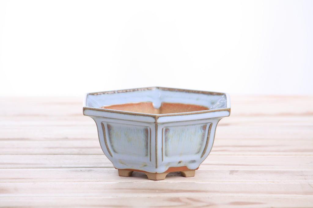 Willow Bonsai Ceramics Hexagonal Windowed Bonsai Pot 5 Inch – Semi‑Cascade Planter, High‑Fired Frost‑Proof Stoneware with Drainage & Wiring Holes, Handmade in USA (Glacier)
