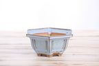 Willow Bonsai Ceramics Hexagonal Windowed Bonsai Pot 5 Inch – Semi‑Cascade Planter, High‑Fired Frost‑Proof Stoneware with Drainage & Wiring Holes, Handmade in USA (Glacier)