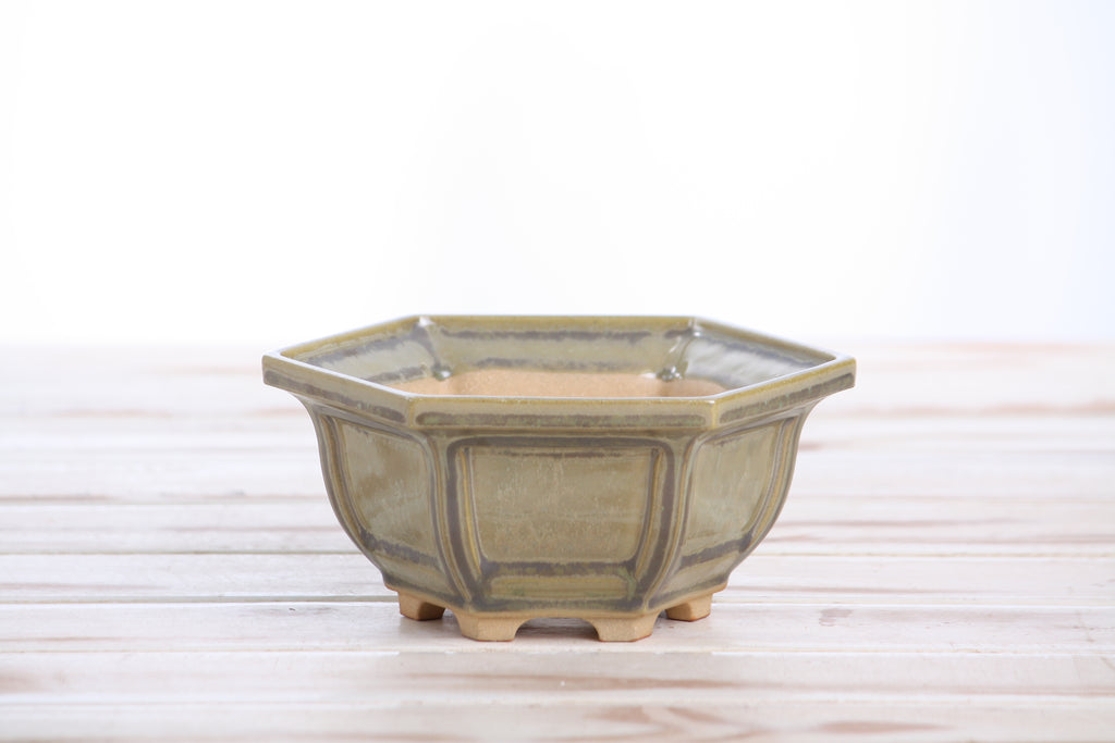 Willow Bonsai Ceramics Hexagonal Windowed Bonsai Pot 5 Inch – Semi‑Cascade Planter, High‑Fired Frost‑Proof Stoneware with Drainage & Wiring Holes, Handmade in USA (Copenhagen)