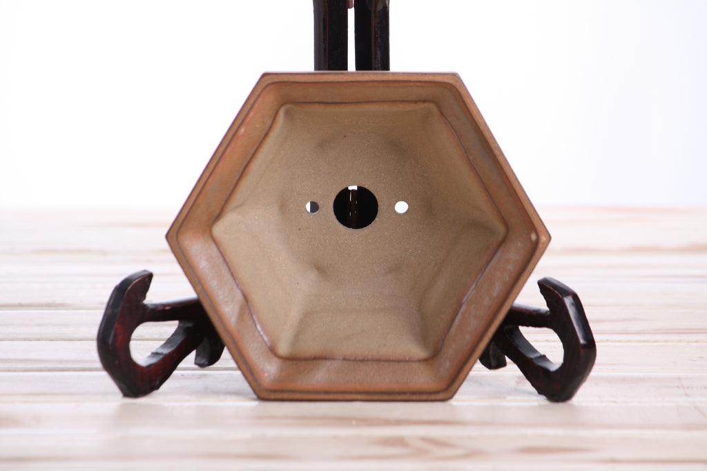 Willow Bonsai Ceramics Hexagonal Windowed Bonsai Pot 5 Inch – Semi‑Cascade Planter, High‑Fired Frost‑Proof Stoneware with Drainage & Wiring Holes, Handmade in USA (Deep Stone)
