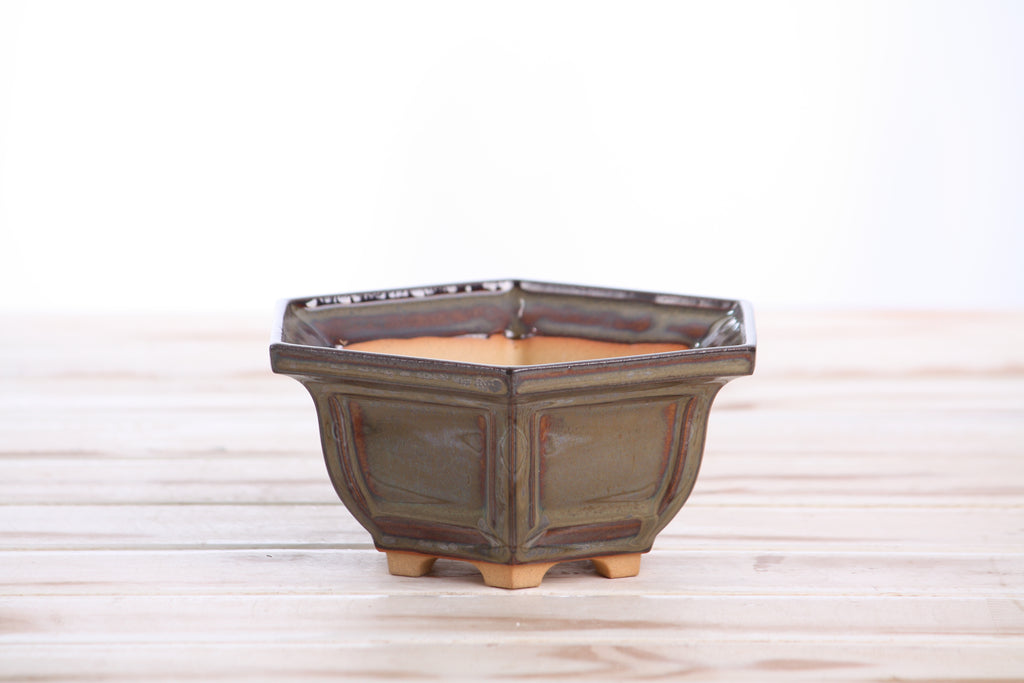 Willow Bonsai Ceramics Hexagonal Windowed Bonsai Pot 5 Inch – Semi‑Cascade Planter, High‑Fired Frost‑Proof Stoneware with Drainage & Wiring Holes, Handmade in USA (Dark Honey)