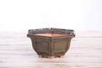 Willow Bonsai Ceramics Hexagonal Windowed Bonsai Pot 5 Inch – Semi‑Cascade Planter, High‑Fired Frost‑Proof Stoneware with Drainage & Wiring Holes, Handmade in USA (Dark Honey)