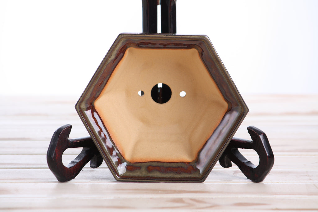 Willow Bonsai Ceramics Hexagonal Windowed Bonsai Pot 5 Inch – Semi‑Cascade Planter, High‑Fired Frost‑Proof Stoneware with Drainage & Wiring Holes, Handmade in USA (Dark Honey)