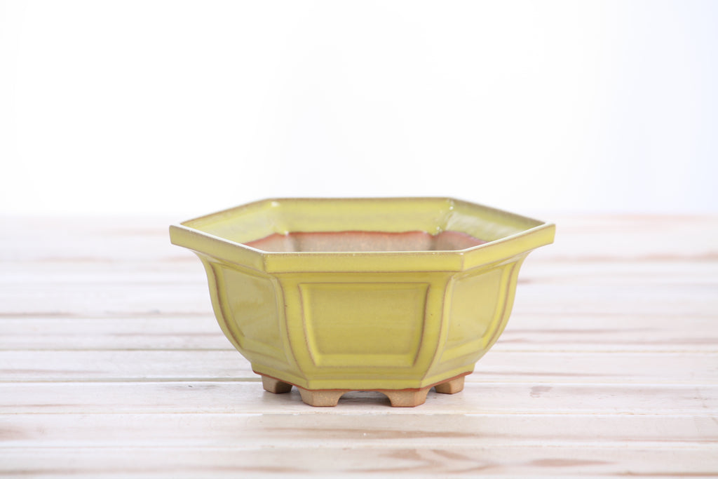 Willow Bonsai Ceramics Hexagonal Windowed Bonsai Pot 5 Inch – Semi‑Cascade Planter, High‑Fired Frost‑Proof Stoneware with Drainage & Wiring Holes, Handmade in USA (Yellow)