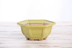 Willow Bonsai Ceramics Hexagonal Windowed Bonsai Pot 5 Inch – Semi‑Cascade Planter, High‑Fired Frost‑Proof Stoneware with Drainage & Wiring Holes, Handmade in USA (Yellow)