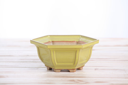 Willow Bonsai Ceramics Hexagonal Windowed Bonsai Pot 5 Inch – Semi‑Cascade Planter, High‑Fired Frost‑Proof Stoneware with Drainage & Wiring Holes, Handmade in USA (Yellow)
