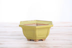 Willow Bonsai Ceramics Hexagonal Windowed Bonsai Pot 5 Inch – Semi‑Cascade Planter, High‑Fired Frost‑Proof Stoneware with Drainage & Wiring Holes, Handmade in USA (Yellow)