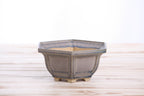 Willow Bonsai Ceramics Hexagonal Windowed Bonsai Pot 5 Inch – Semi‑Cascade Planter, High‑Fired Frost‑Proof Stoneware with Drainage & Wiring Holes, Handmade in USA (Ocean)