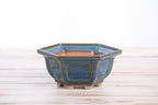 Willow Bonsai Ceramics Hexagonal Windowed Bonsai Pot 5 Inch – Semi‑Cascade Planter, High‑Fired Frost‑Proof Stoneware with Drainage & Wiring Holes, Handmade in USA (Peacock 2025)