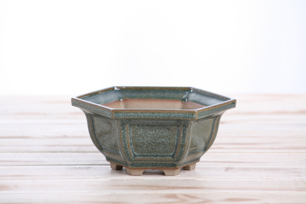 Willow Bonsai Ceramics Hexagonal Windowed Bonsai Pot 5 Inch – Semi‑Cascade Planter, High‑Fired Frost‑Proof Stoneware with Drainage & Wiring Holes, Handmade in USA (Seaweed 2025)