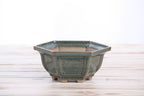 Willow Bonsai Ceramics Hexagonal Windowed Bonsai Pot 5 Inch – Semi‑Cascade Planter, High‑Fired Frost‑Proof Stoneware with Drainage & Wiring Holes, Handmade in USA (Seaweed 2025)