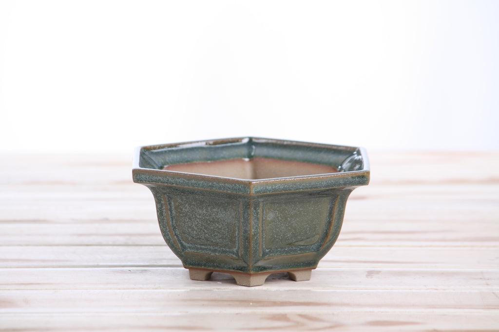 Willow Bonsai Ceramics Hexagonal Windowed Bonsai Pot 5 Inch – Semi‑Cascade Planter, High‑Fired Frost‑Proof Stoneware with Drainage & Wiring Holes, Handmade in USA (Seaweed 2025)