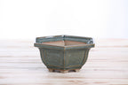 Willow Bonsai Ceramics Hexagonal Windowed Bonsai Pot 5 Inch – Semi‑Cascade Planter, High‑Fired Frost‑Proof Stoneware with Drainage & Wiring Holes, Handmade in USA (Seaweed 2025)
