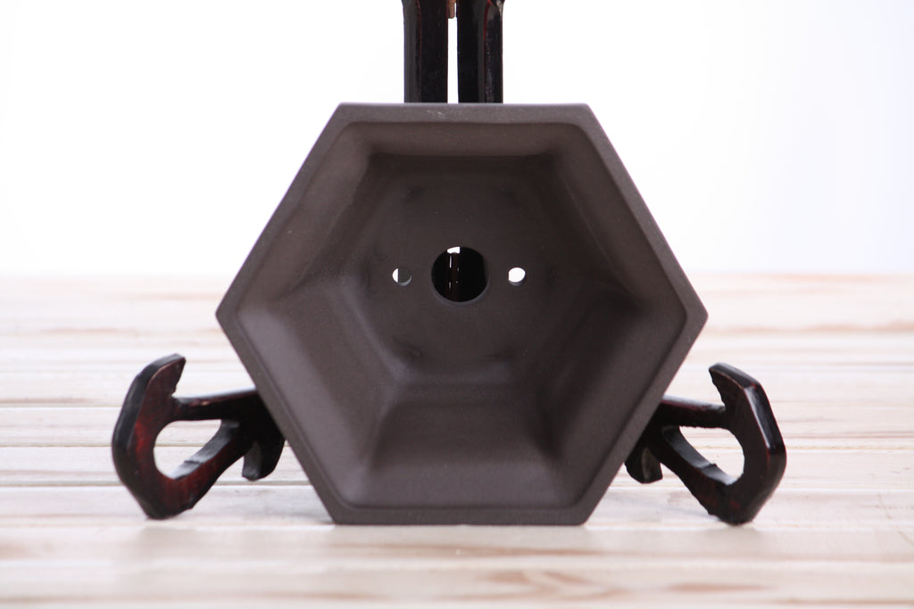 Willow Bonsai Ceramics Hexagonal Windowed Bonsai Pot 5 Inch – Semi‑Cascade Planter, High‑Fired Frost‑Proof Stoneware with Drainage & Wiring Holes, Handmade in USA (Unglazed Black)