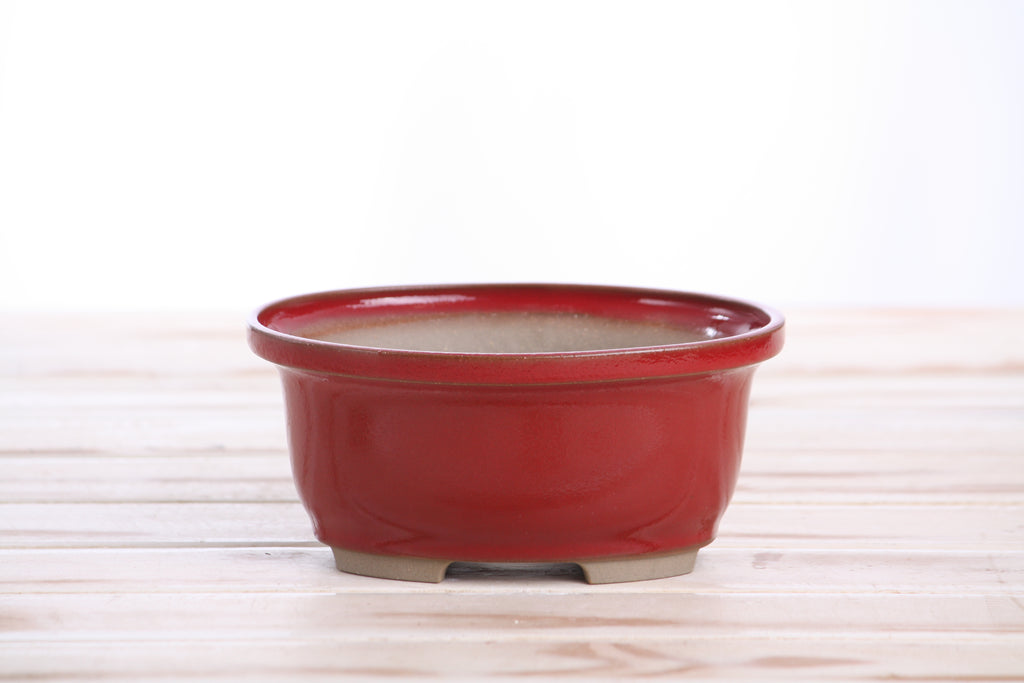 Willow Bonsai Ceramics Fat Bonsai Pot 5.5 Inch – Bold Oval Ceramic Bonsai & Succulent Planter with Accentuated Rim, High‑Fired Frost‑Proof Stoneware, Handmade in USA (Red)