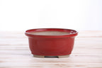 Willow Bonsai Ceramics Fat Bonsai Pot 5.5 Inch – Bold Oval Ceramic Bonsai & Succulent Planter with Accentuated Rim, High‑Fired Frost‑Proof Stoneware, Handmade in USA (Red)
