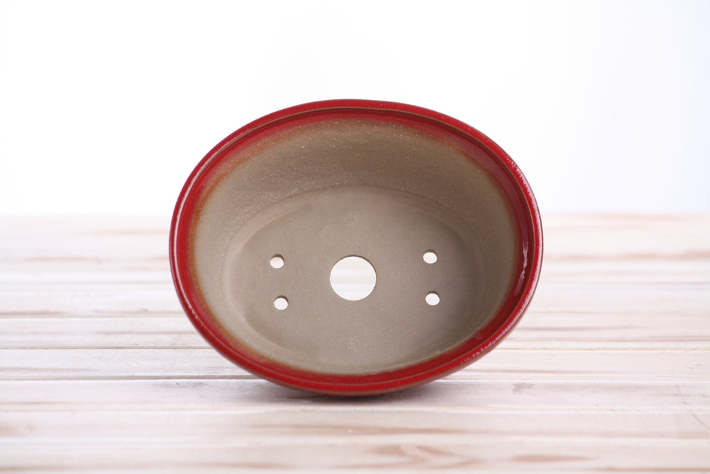 Willow Bonsai Ceramics Fat Bonsai Pot 5.5 Inch – Bold Oval Ceramic Bonsai & Succulent Planter with Accentuated Rim, High‑Fired Frost‑Proof Stoneware, Handmade in USA (Red)