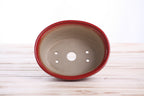 Willow Bonsai Ceramics Fat Bonsai Pot 5.5 Inch – Bold Oval Ceramic Bonsai & Succulent Planter with Accentuated Rim, High‑Fired Frost‑Proof Stoneware, Handmade in USA (Red)
