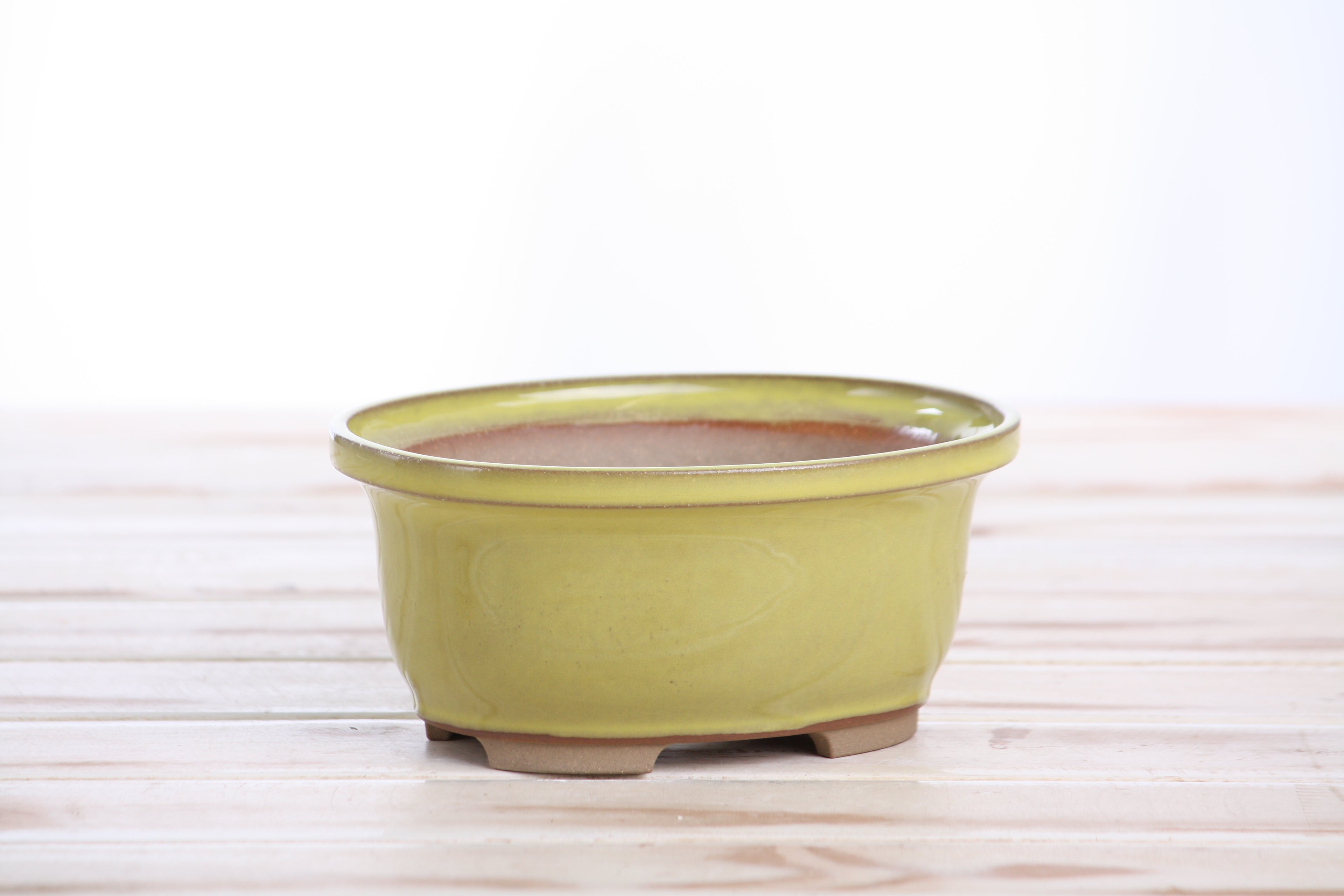 Willow Bonsai Ceramics Fat Bonsai Pot 5.5 Inch – Bold Oval Ceramic Bonsai & Succulent Planter with Accentuated Rim, High‑Fired Frost‑Proof Stoneware, Handmade in USA (Yellow)