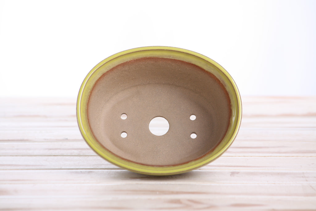 Willow Bonsai Ceramics Fat Bonsai Pot 5.5 Inch – Bold Oval Ceramic Bonsai & Succulent Planter with Accentuated Rim, High‑Fired Frost‑Proof Stoneware, Handmade in USA (Yellow)