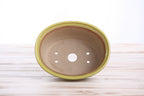 Willow Bonsai Ceramics Fat Bonsai Pot 5.5 Inch – Bold Oval Ceramic Bonsai & Succulent Planter with Accentuated Rim, High‑Fired Frost‑Proof Stoneware, Handmade in USA (Yellow)