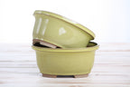 Willow Bonsai Ceramics Fat Bonsai Pot 5.5 Inch – Bold Oval Ceramic Bonsai & Succulent Planter with Accentuated Rim, High‑Fired Frost‑Proof Stoneware, Handmade in USA (Yellow)