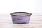 Willow Bonsai Ceramics Fat Bonsai Pot 5.5 Inch – Bold Oval Ceramic Bonsai & Succulent Planter with Accentuated Rim, High‑Fired Frost‑Proof Stoneware, Handmade in USA (Purple)