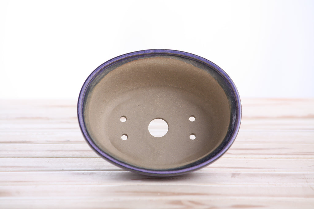 Willow Bonsai Ceramics Fat Bonsai Pot 5.5 Inch – Bold Oval Ceramic Bonsai & Succulent Planter with Accentuated Rim, High‑Fired Frost‑Proof Stoneware, Handmade in USA (Purple)