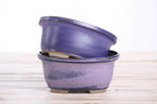 Willow Bonsai Ceramics Fat Bonsai Pot 5.5 Inch – Bold Oval Ceramic Bonsai & Succulent Planter with Accentuated Rim, High‑Fired Frost‑Proof Stoneware, Handmade in USA (Purple)