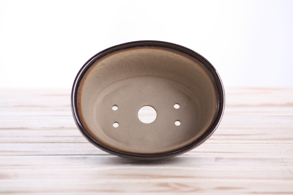 Willow Bonsai Ceramics Fat Bonsai Pot 5.5 Inch – Bold Oval Ceramic Bonsai & Succulent Planter with Accentuated Rim, High‑Fired Frost‑Proof Stoneware, Handmade in USA (Dark Honey)