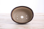 Willow Bonsai Ceramics Fat Bonsai Pot 5.5 Inch – Bold Oval Ceramic Bonsai & Succulent Planter with Accentuated Rim, High‑Fired Frost‑Proof Stoneware, Handmade in USA (Dark Honey)