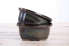 Willow Bonsai Ceramics Fat Bonsai Pot 5.5 Inch – Bold Oval Ceramic Bonsai & Succulent Planter with Accentuated Rim, High‑Fired Frost‑Proof Stoneware, Handmade in USA (Dark Honey)