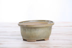 Willow Bonsai Ceramics Fat Bonsai Pot 5.5 Inch – Bold Oval Ceramic Bonsai & Succulent Planter with Accentuated Rim, High‑Fired Frost‑Proof Stoneware, Handmade in USA (Copenhagen)