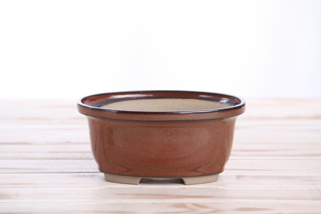 Willow Bonsai Ceramics Fat Bonsai Pot 5.5 Inch – Bold Oval Ceramic Bonsai & Succulent Planter with Accentuated Rim, High‑Fired Frost‑Proof Stoneware, Handmade in USA (Sunset)
