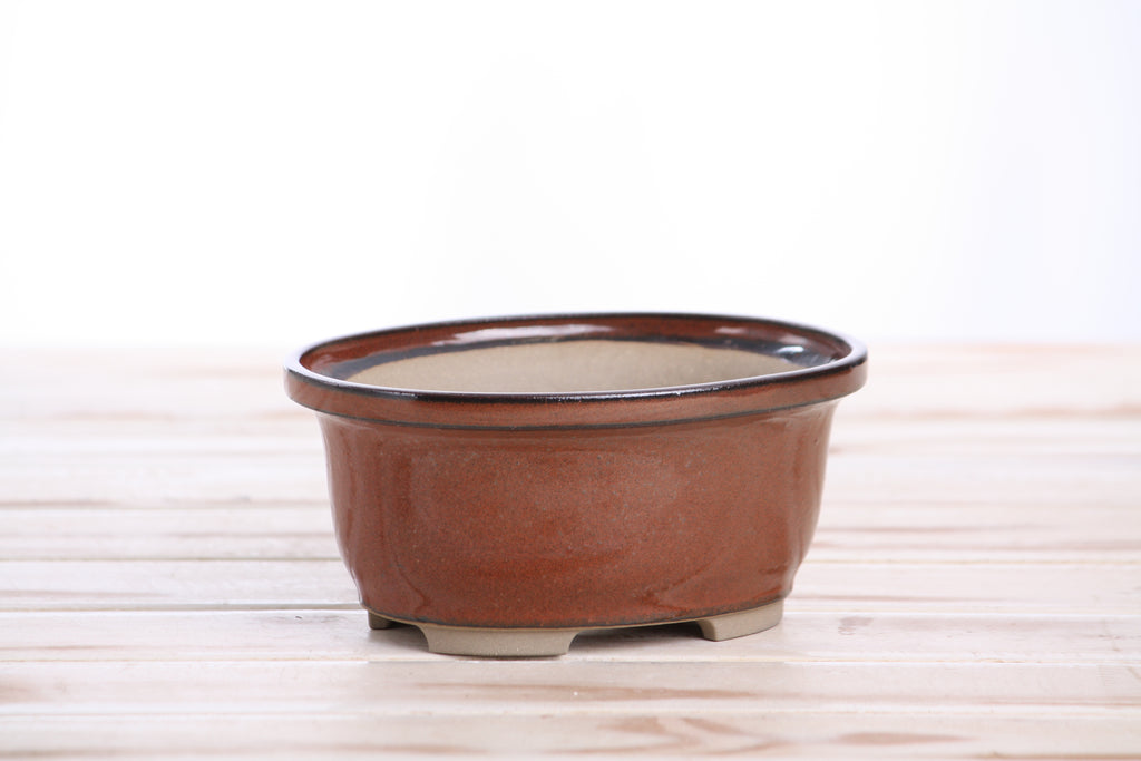 Willow Bonsai Ceramics Fat Bonsai Pot 5.5 Inch – Bold Oval Ceramic Bonsai & Succulent Planter with Accentuated Rim, High‑Fired Frost‑Proof Stoneware, Handmade in USA (Sunset)