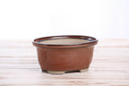 Willow Bonsai Ceramics Fat Bonsai Pot 5.5 Inch – Bold Oval Ceramic Bonsai & Succulent Planter with Accentuated Rim, High‑Fired Frost‑Proof Stoneware, Handmade in USA (Sunset)