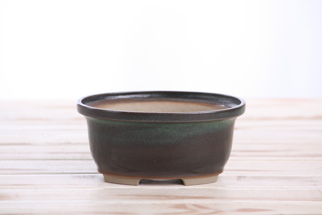 Willow Bonsai Ceramics Fat Bonsai Pot 5.5 Inch – Bold Oval Ceramic Bonsai & Succulent Planter with Accentuated Rim, High‑Fired Frost‑Proof Stoneware, Handmade in USA (Avocado)
