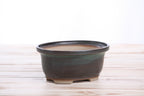 Willow Bonsai Ceramics Fat Bonsai Pot 5.5 Inch – Bold Oval Ceramic Bonsai & Succulent Planter with Accentuated Rim, High‑Fired Frost‑Proof Stoneware, Handmade in USA (Avocado)