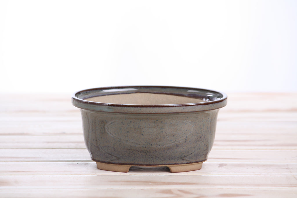 Willow Bonsai Ceramics Fat Bonsai Pot 5.5 Inch – Bold Oval Ceramic Bonsai & Succulent Planter with Accentuated Rim, High‑Fired Frost‑Proof Stoneware, Handmade in USA (Starry Night)