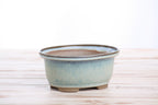 Willow Bonsai Ceramics Fat Bonsai Pot 5.5 Inch – Bold Oval Ceramic Bonsai & Succulent Planter with Accentuated Rim, High‑Fired Frost‑Proof Stoneware, Handmade in USA (Glacier)