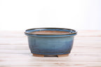 Willow Bonsai Ceramics Fat Bonsai Pot 5.5 Inch – Bold Oval Ceramic Bonsai & Succulent Planter with Accentuated Rim, High‑Fired Frost‑Proof Stoneware, Handmade in USA (Peacock 2025)