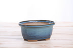 Willow Bonsai Ceramics Fat Bonsai Pot 5.5 Inch – Bold Oval Ceramic Bonsai & Succulent Planter with Accentuated Rim, High‑Fired Frost‑Proof Stoneware, Handmade in USA (Peacock 2025)